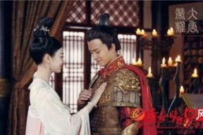 大唐荣耀 2电视剧,权谋风云，爱恨交织的宫廷传奇