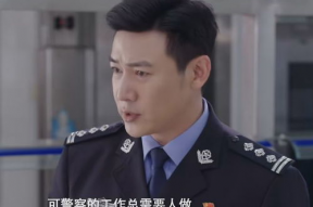 公安电视剧,揭秘公安英雄的生死较量