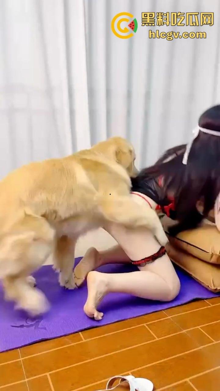 抖音小姐姐【香香公主】给科普兽交注意事项 每天都在和金毛上演人兽配！-11