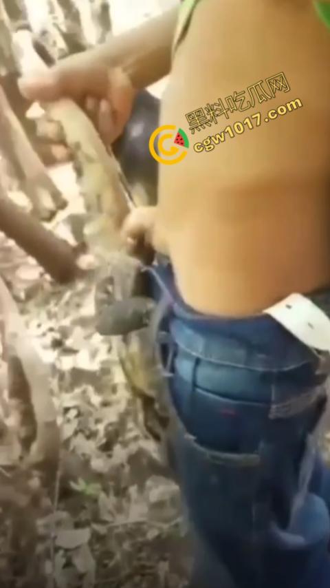 印度阿三享受变态玩乐：鸡巴爆操蜥蜴嫩穴，直到精液喷涌，炫耀异样快感，震撼画面引无数网民围观-5