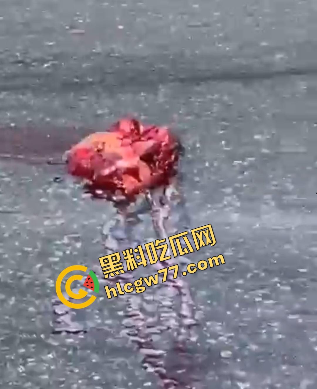 巴西若昂佩索阿摩托车手脸撕裂头断身碎！血腥车祸脸直接撕裂开，路人还想上去捡肾脏！-8