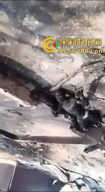 人间炼狱！尼日利亚油罐车泄露遭哄抢爆炸致77死，人都烧成木炭了，重口慎点！-9