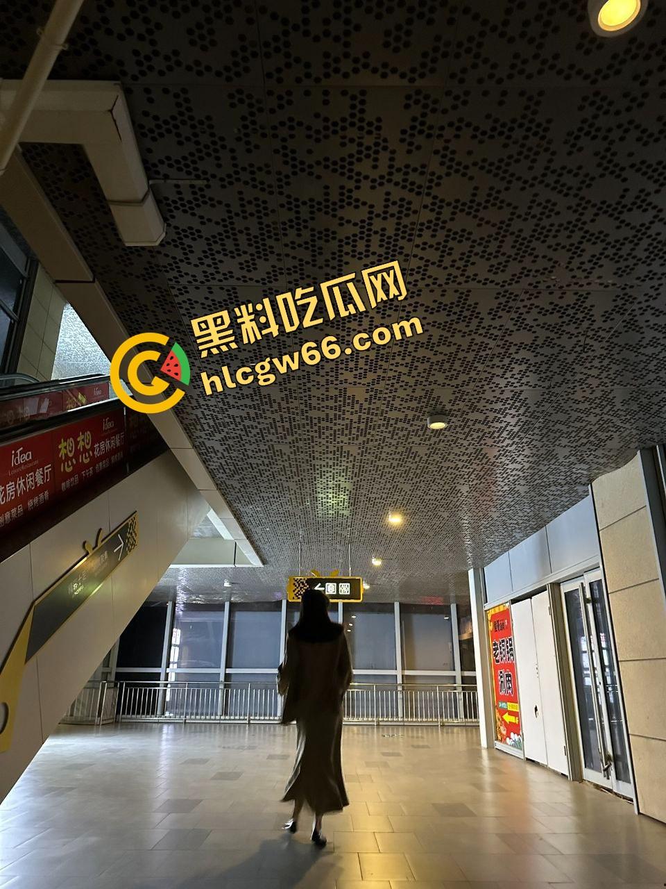 上海大学生眼镜妹『何小洁』酒店约炮玩露出，学不学无所谓，肥臀翘得高，嘴里叼根屌比谁都稳！-4