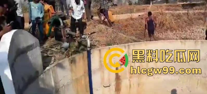 完达山一号再现？印度三哥野生老虎因追逃野猪双双落入水井，这次三哥不会趁老虎之危了吧！-3