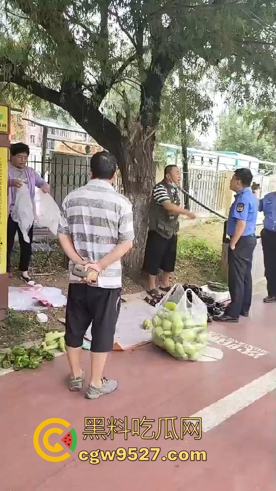 黑龙江城管不讲道理执法，跟买菜小摊贩说两句就上头，牛逼到不行，给个书记他做那不得起飞了！-1