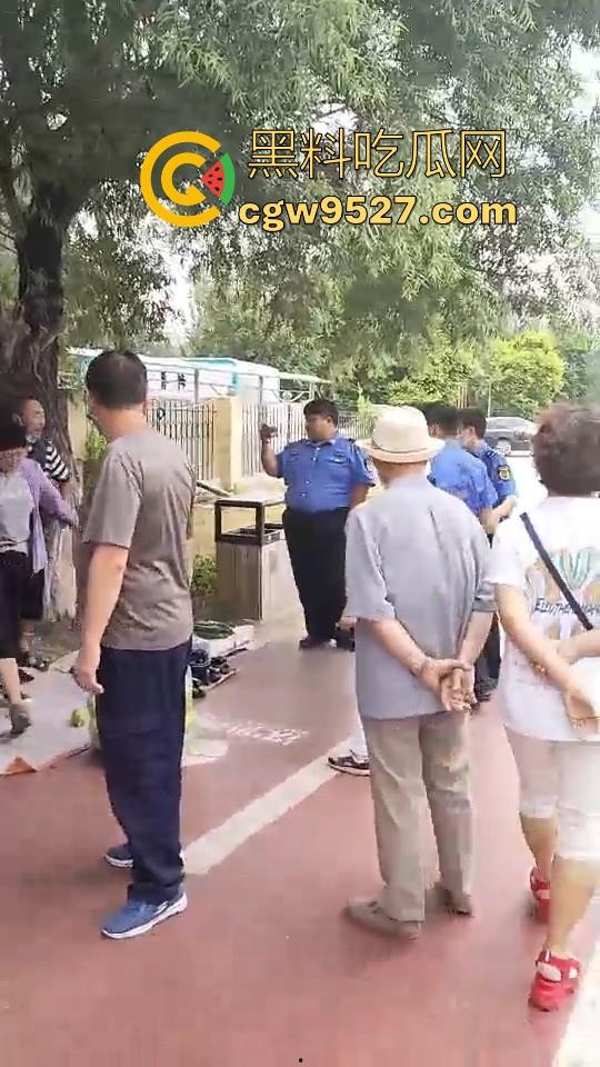 黑龙江城管不讲道理执法，跟买菜小摊贩说两句就上头，牛逼到不行，给个书记他做那不得起飞了！-3