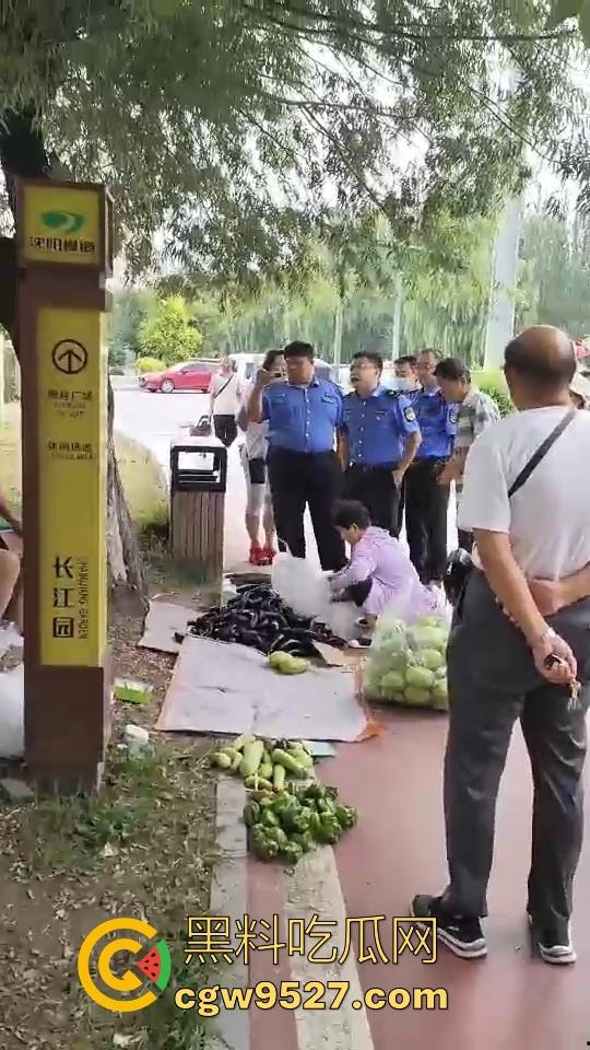 黑龙江城管不讲道理执法，跟买菜小摊贩说两句就上头，牛逼到不行，给个书记他做那不得起飞了！-4