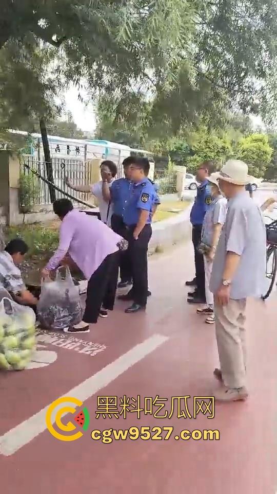 黑龙江城管不讲道理执法，跟买菜小摊贩说两句就上头，牛逼到不行，给个书记他做那不得起飞了！-6