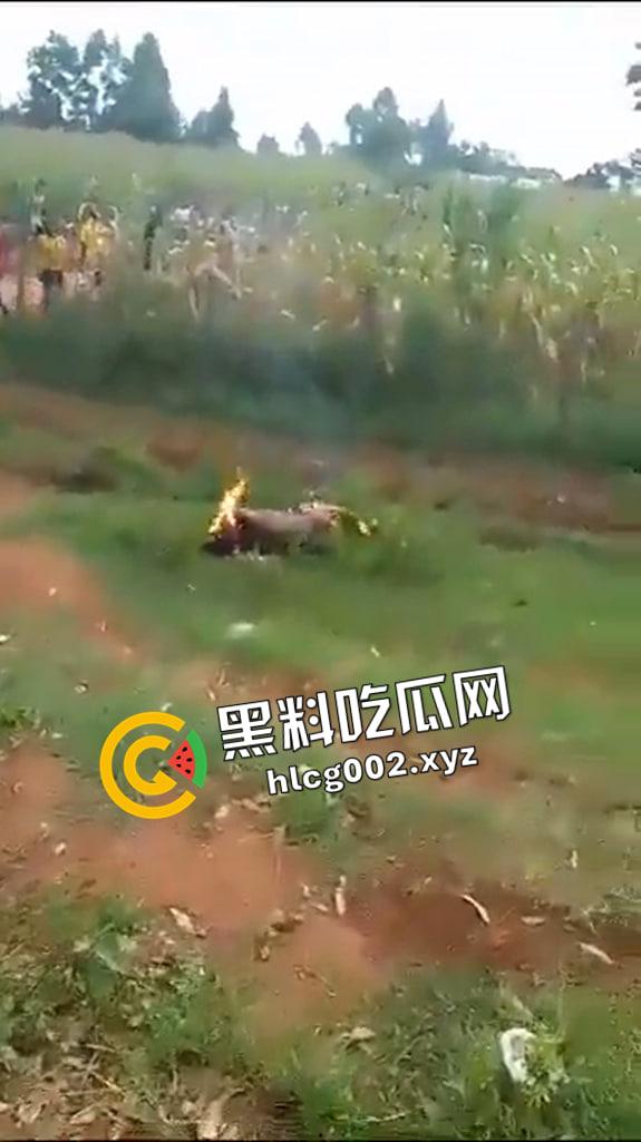 尼哥就是狠！南非尼哥虐待小孩 被抓到后活活烧死 惨不忍睹-6
