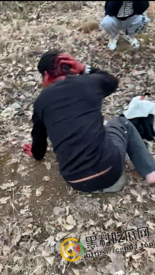 河南精神小伙霸凌同学 打的浑身是血求饶 头发被染红 河南不大 创造神话-4