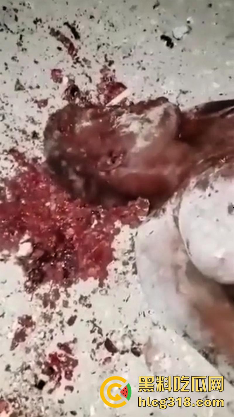 非洲大奶黑妹被砍断双手，棍棒砸扁头杀害后，被一群男子当场分尸割肉，还有人拿棍捅逼，真变态啊！-9