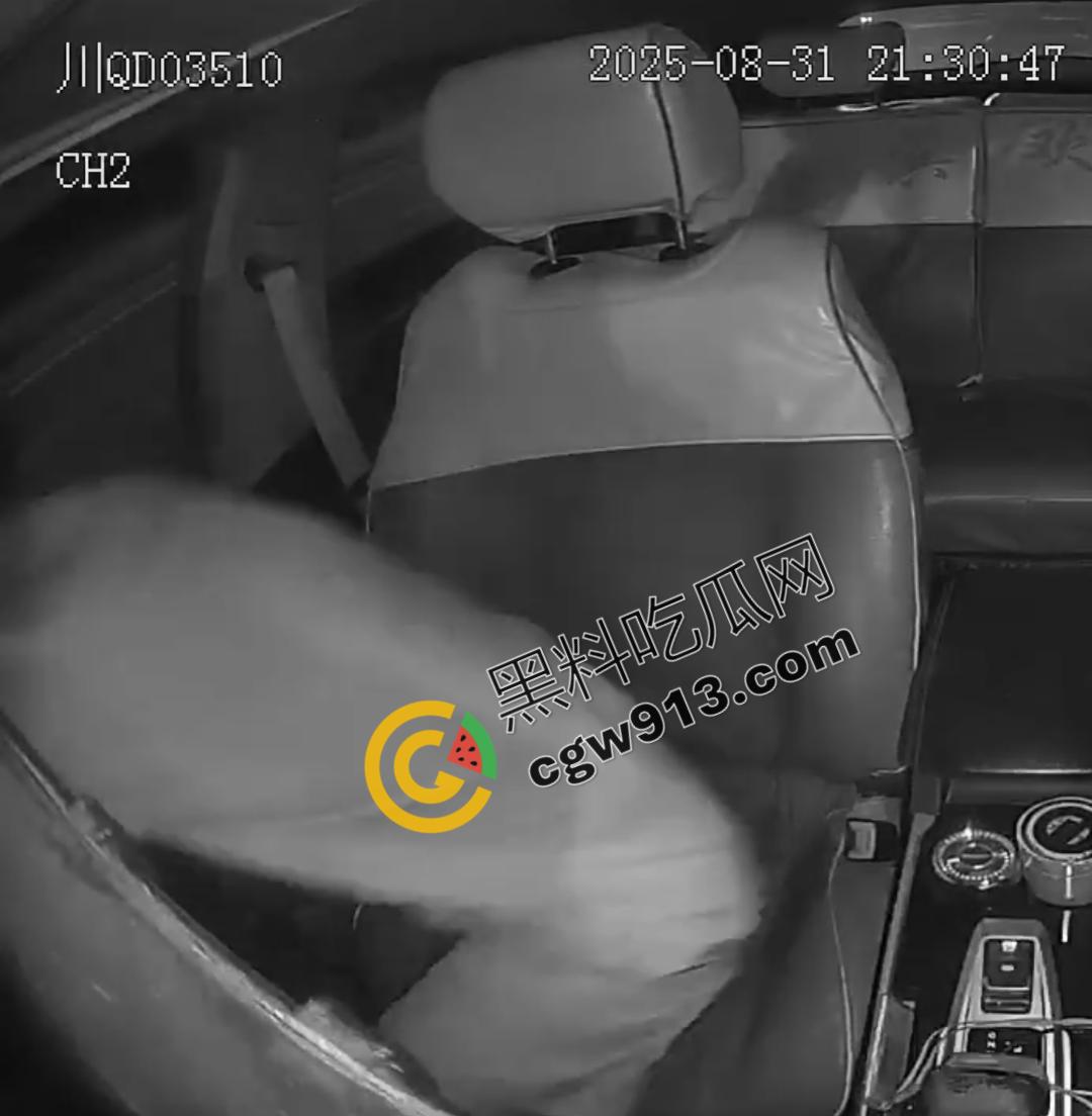 四川男子疯狂跳车险酿惨剧!网约车司机害怕惹祸赶紧录视频自保,惨烈撞脸引发全网热议-6