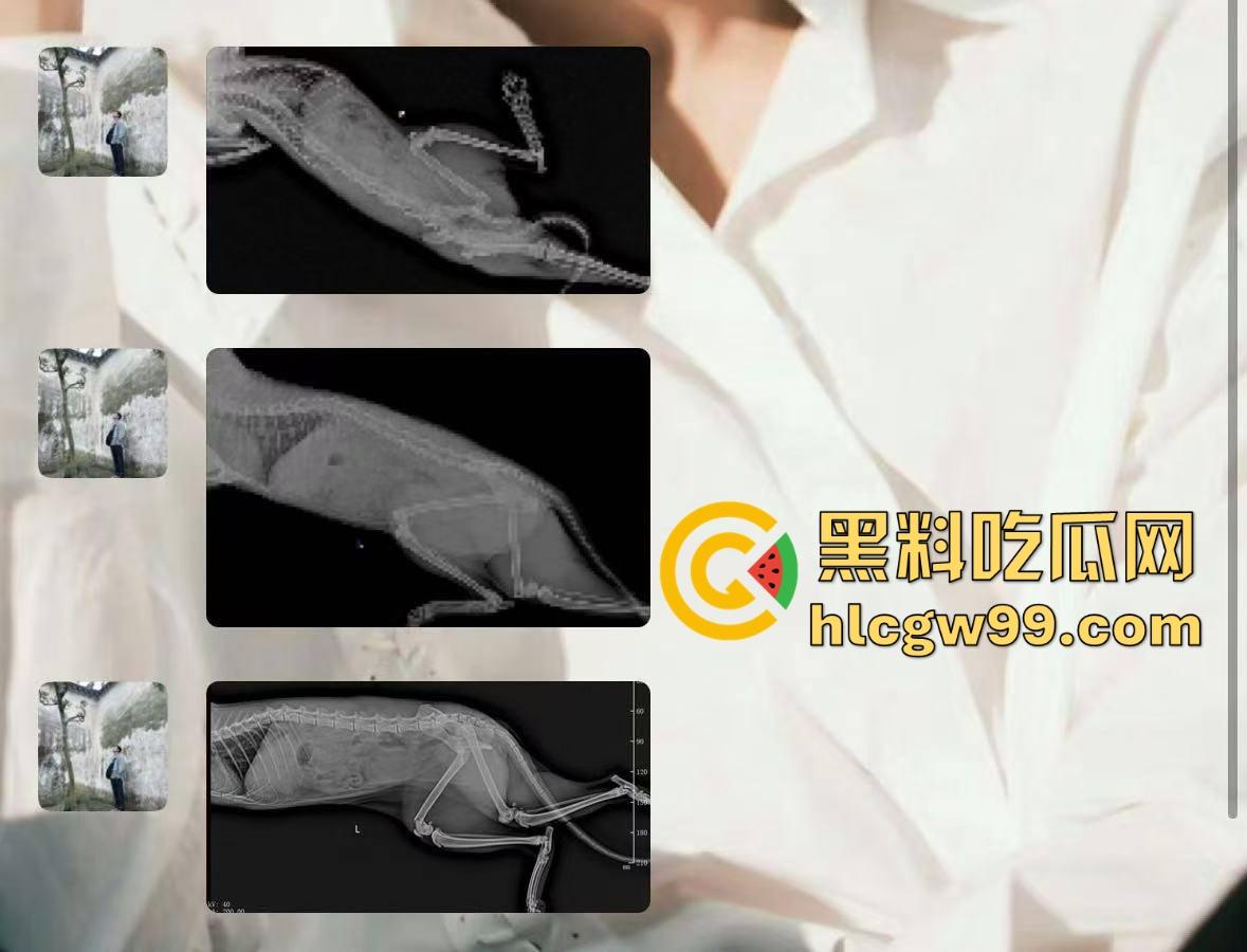 主播故事汇!渣男网红【凯蒂斯】余李,携带病毒到处约炮,致【冉潇潇】怀孕搞原地消失,PPT手撕渣男。-38